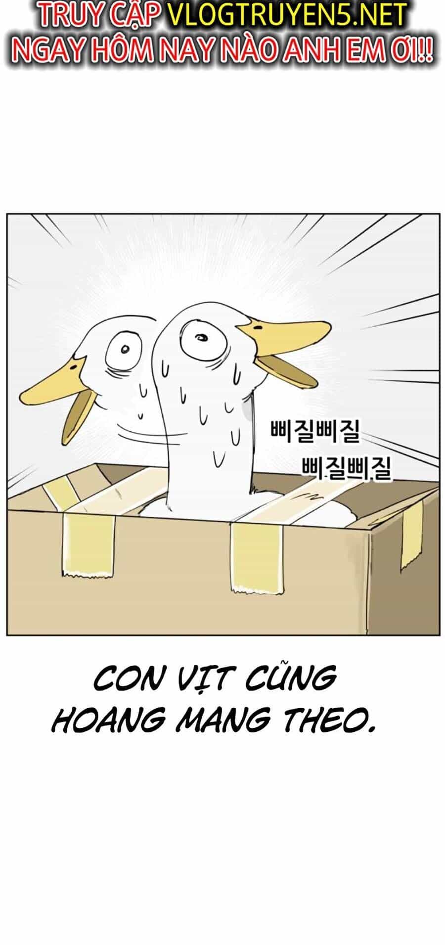 Con Mèo Đô Vật Của Tôi - Chương 8 - ảnh 38