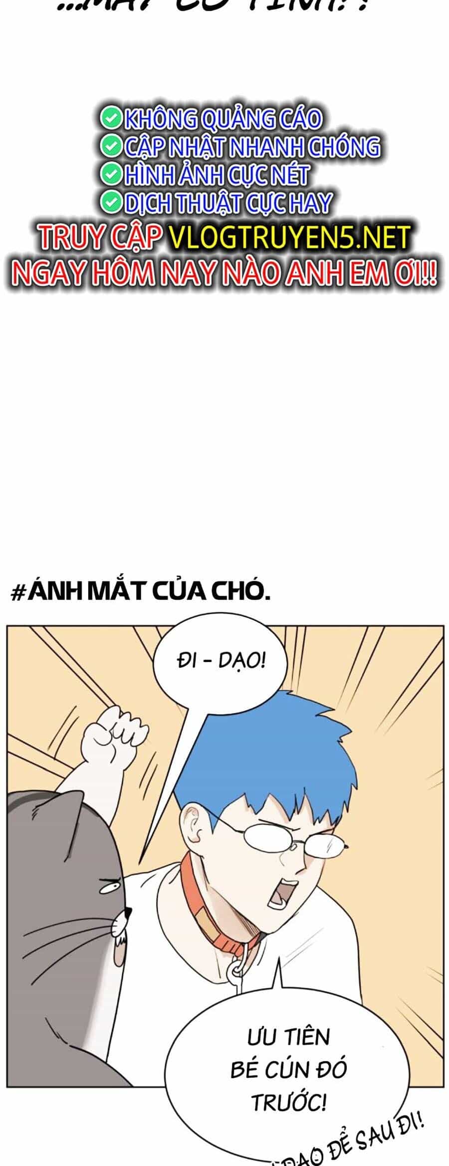 Con Mèo Đô Vật Của Tôi - Chương 9 - ảnh 14