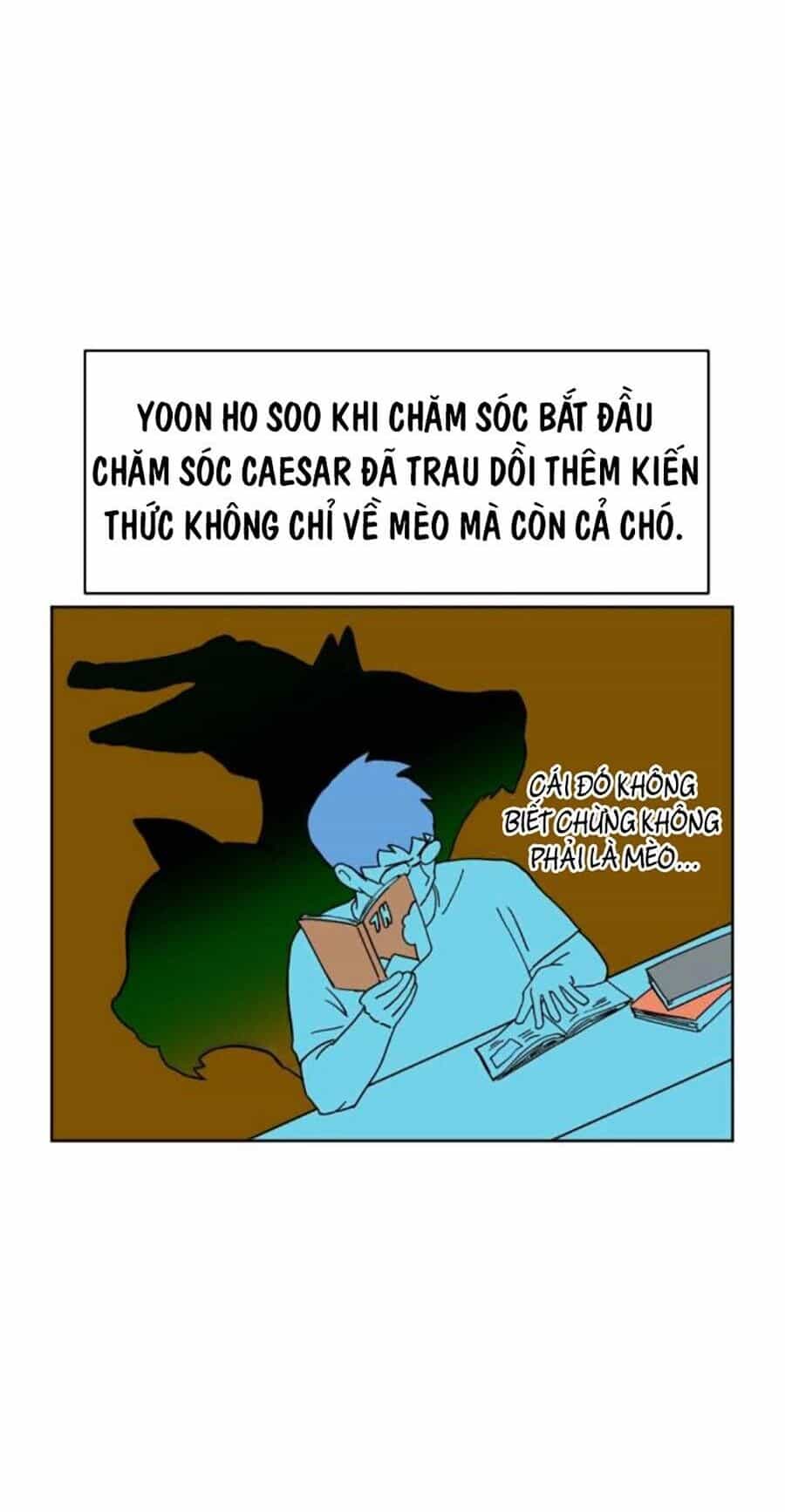 Con Mèo Đô Vật Của Tôi - Chương 9 - ảnh 17