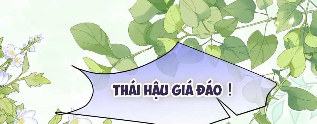 Còn Ra Thể Thống Gì Nữa - Chương 20 - ảnh 81