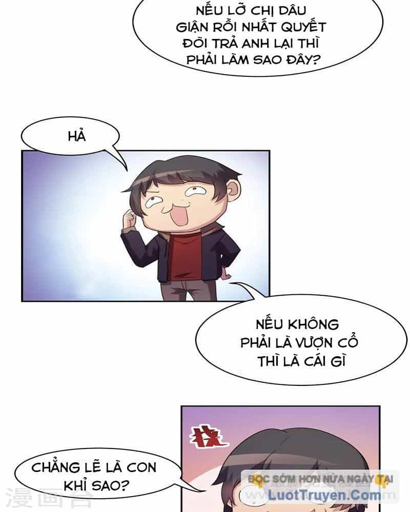 Con Rể Của Các Vị Thần - Chương 8 - ảnh 11