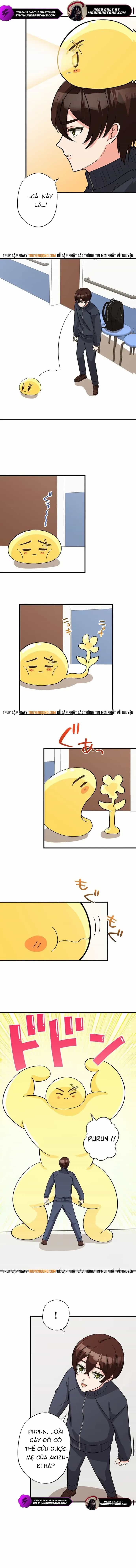 Con Slime Yếu Nhất Ta Từng Cứu Giờ Đã Trở Thành Huyền Thoại! - Chương 12 - ảnh 9