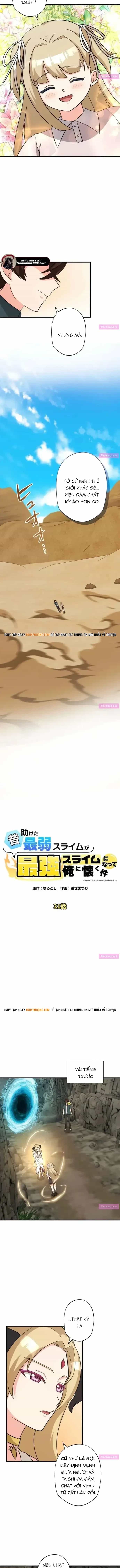 Con Slime Yếu Nhất Ta Từng Cứu Giờ Đã Trở Thành Huyền Thoại! - Chương 31 - ảnh 3