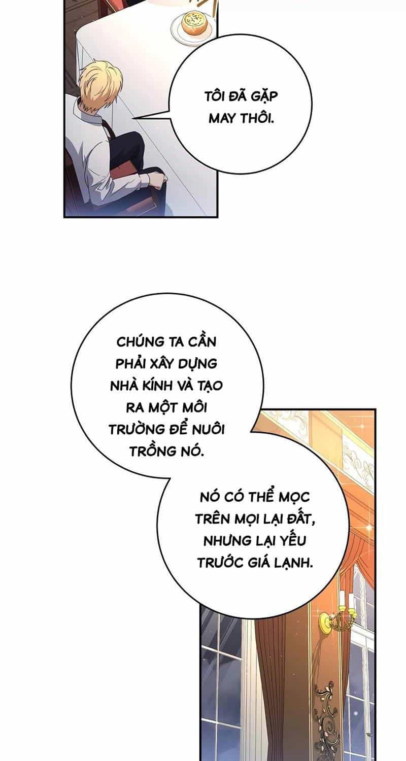 Con Trai Bá Tước Khốn Nạn Là Hoàng Đế - Chương 31 - ảnh 16