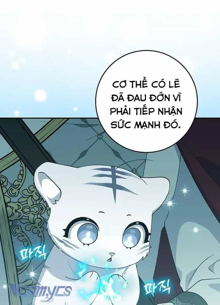 Công Chúa Bạch Hổ Không Có Nguy Hiểm Nha! - Chương 10 - ảnh 25