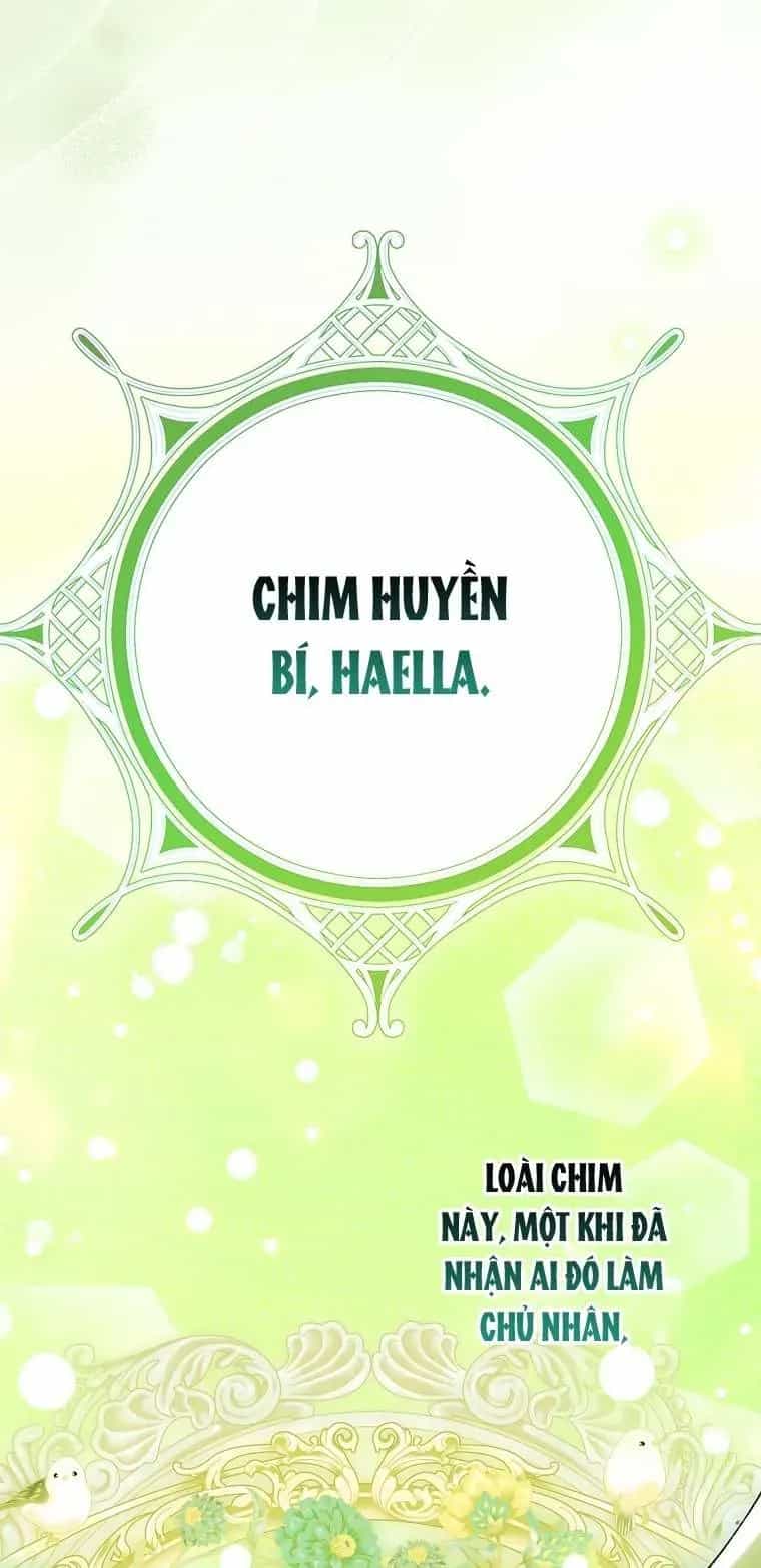 Công Chúa Bạch Hổ Không Có Nguy Hiểm Nha! - Chương 25 - ảnh 38