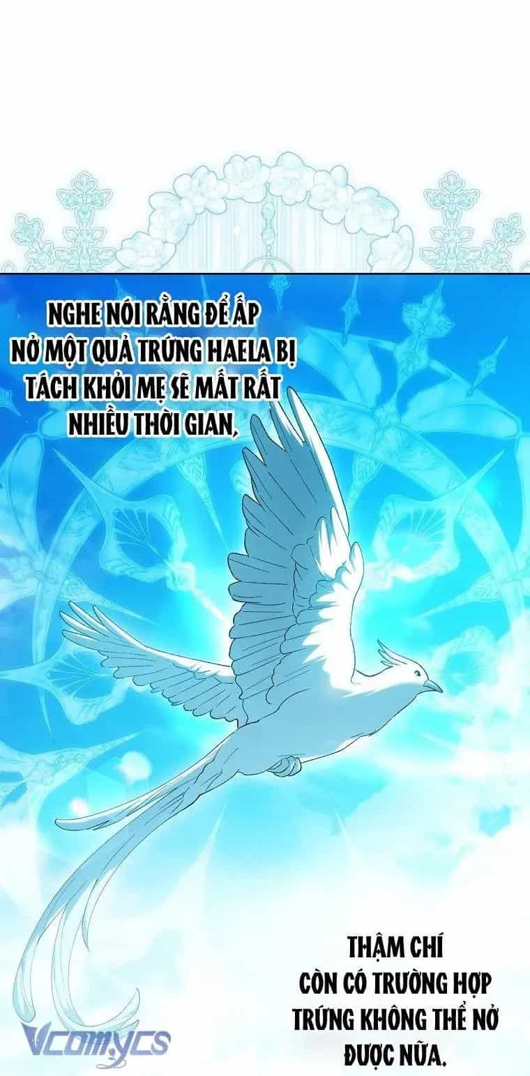 Công Chúa Bạch Hổ Không Có Nguy Hiểm Nha! - Chương 27 - ảnh 49