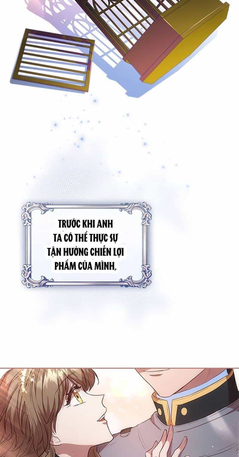Công Chúa Bị Bỏ Rơi - Chương 25 - ảnh 7