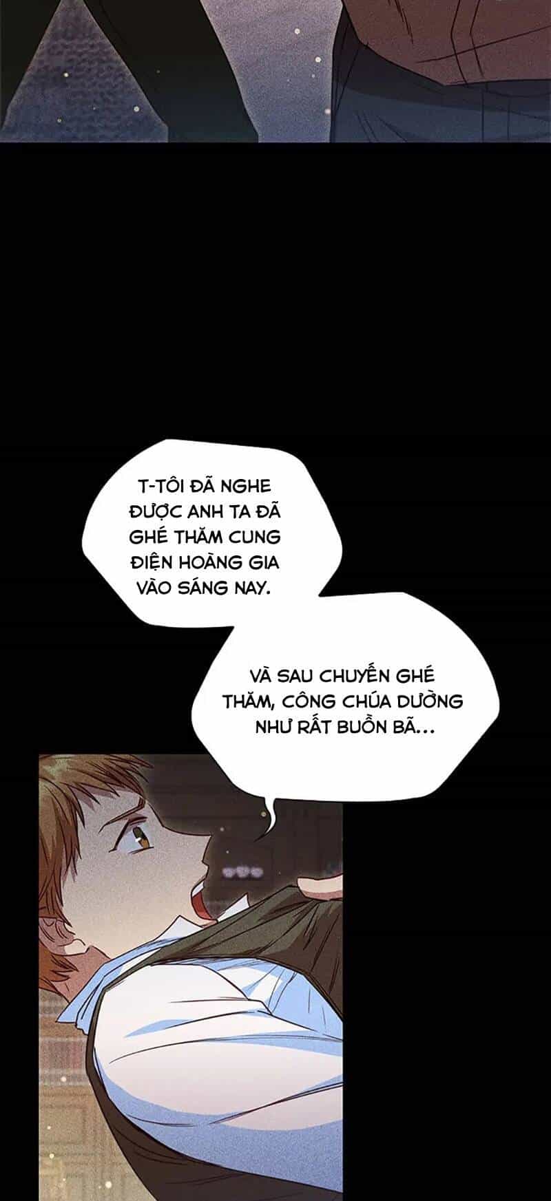 Công Chúa Bị Bỏ Rơi - Chương 32 - ảnh 8