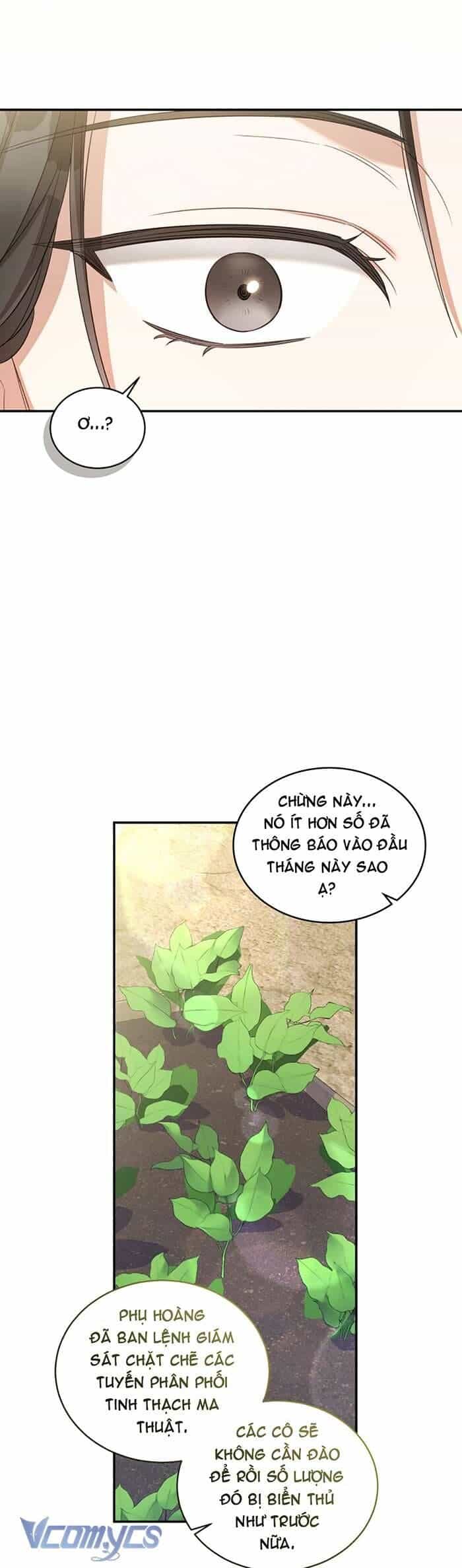 Công Chúa Khắc Dấu Lên Kẻ Phản Nghịch - Chương 62 - ảnh 13