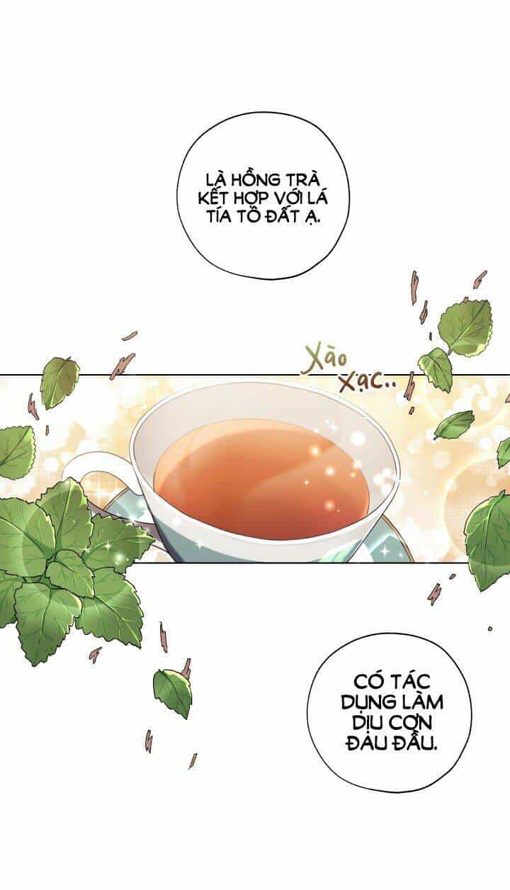 Công Chúa Khắc Dấu Lên Kẻ Phản Nghịch - Chương 8 - ảnh 13