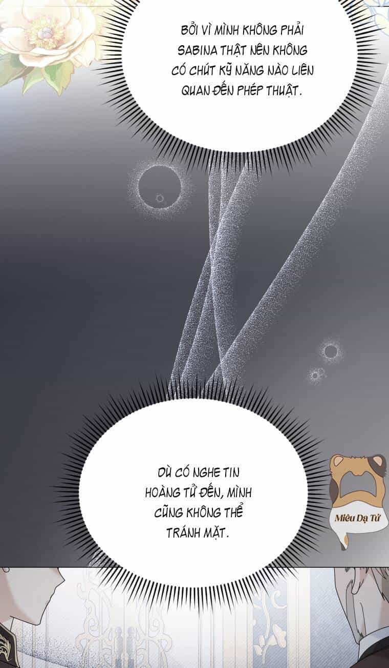 Công Chúa Nhỏ Chờ Được Hủy Hôn - Chương 2 - ảnh 32
