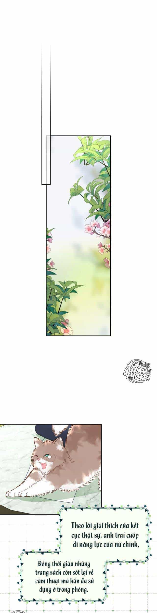 Công Chúa Phản Diện - Chương 2 - ảnh 1