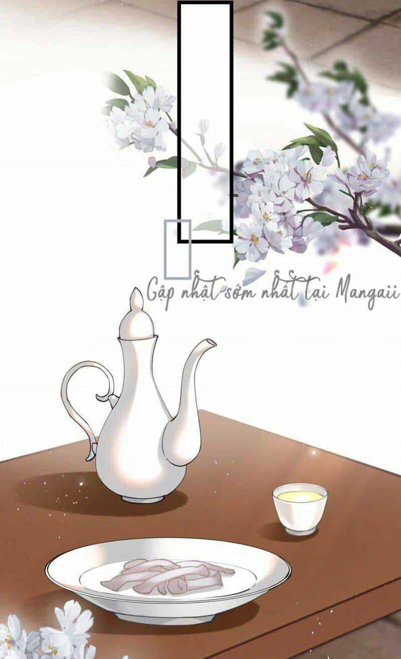 Công Chúa Pháo Hôi Muốn Tùy Tiện Đến Cùng - Chương 74 - ảnh 6