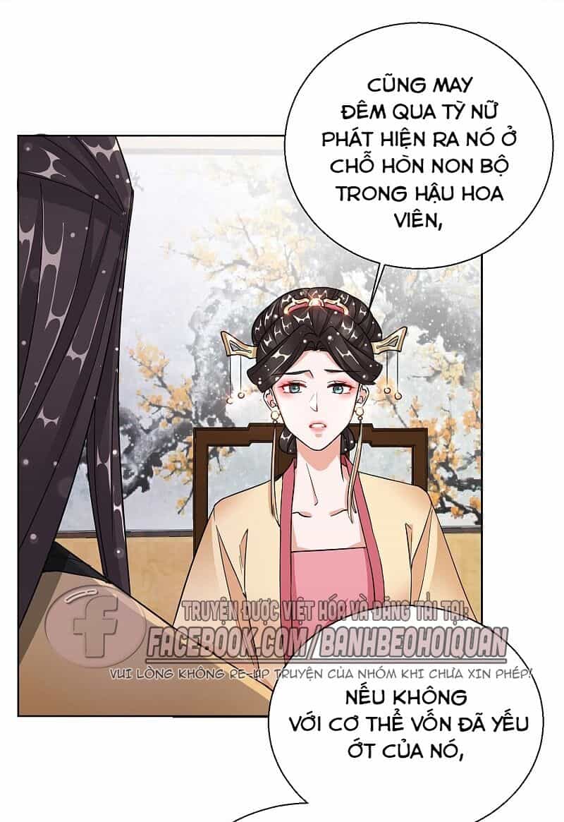 Công Lược Trưởng Thành Của Vương Phi - Chương 21 - ảnh 13
