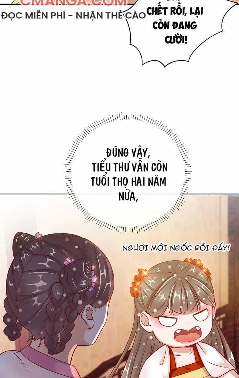Công Lược Trưởng Thành Của Vương Phi - Chương 27 - ảnh 25