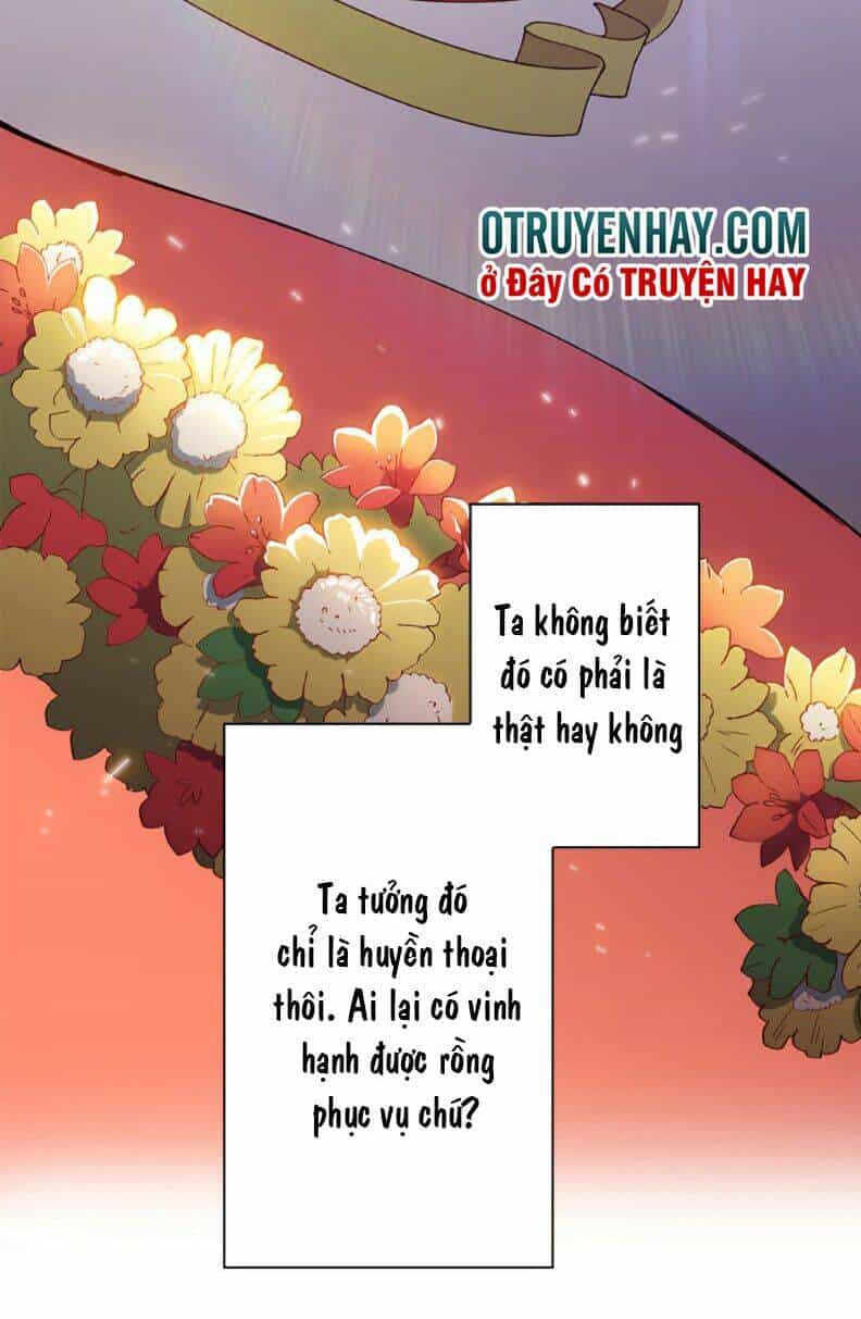Công Tước Bạch Long - Chương 2 - ảnh 31