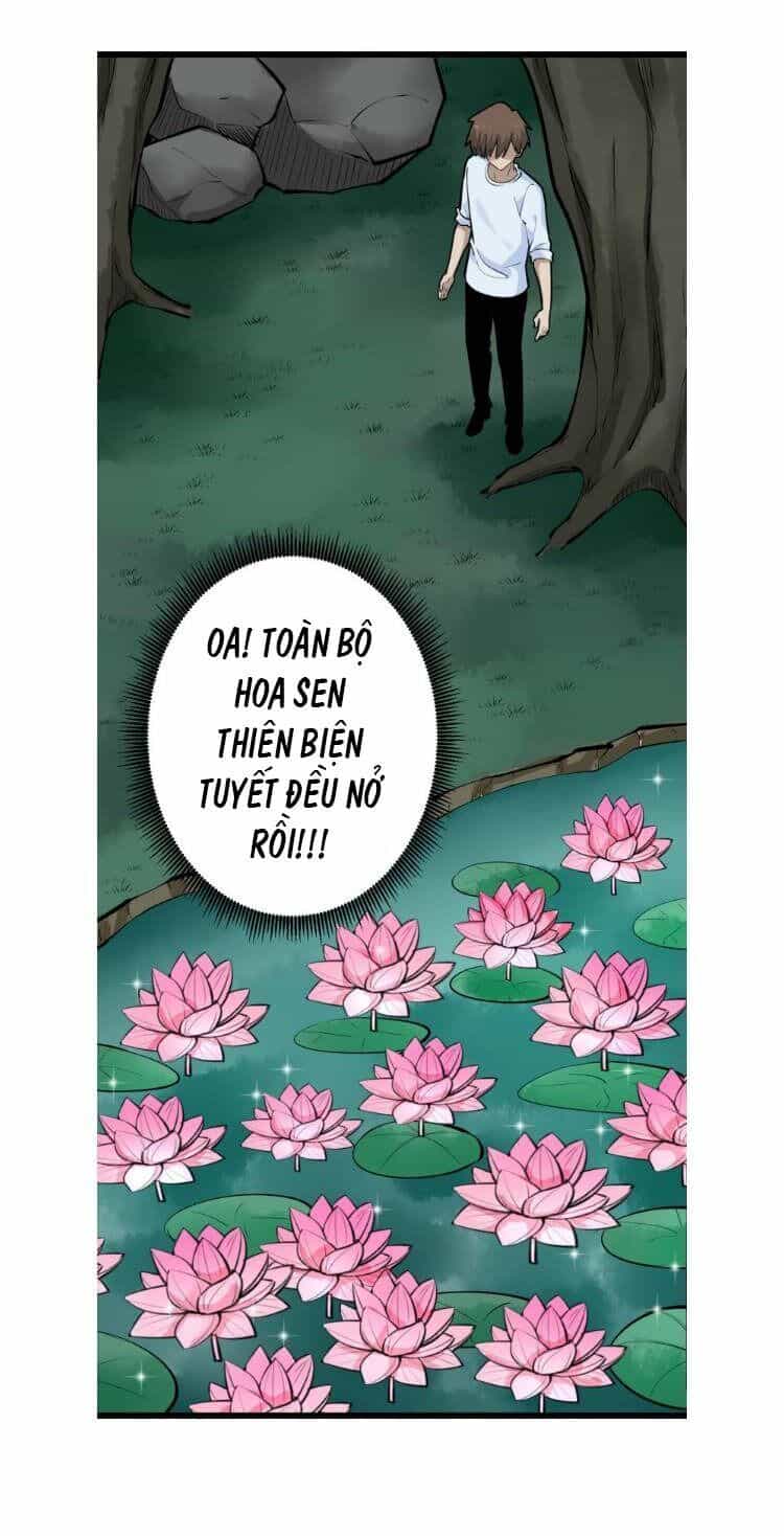 Cửa Hàng Đào Bảo Thông Tam Giới - Chương 178 - ảnh 33