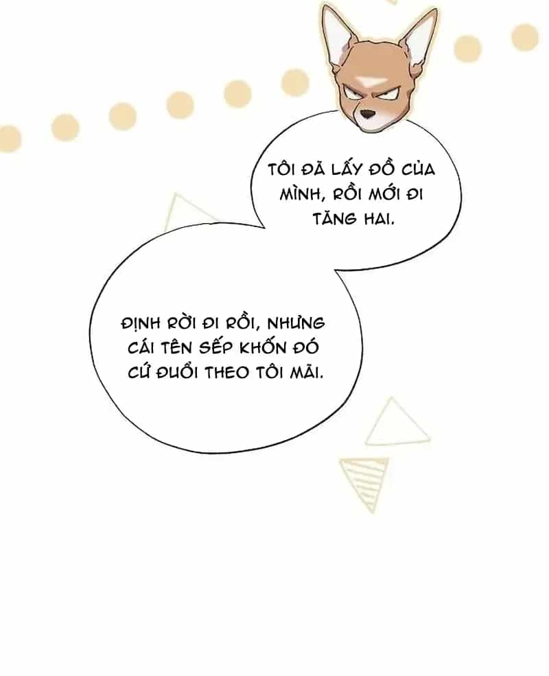 Cửa Hàng Diệu Kỳ - Chương 89 - ảnh 23