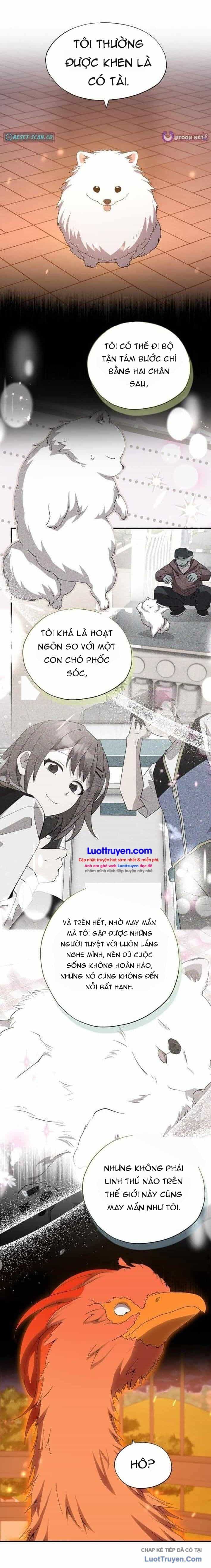 Cửa Hàng Diệu Kỳ - Chương 91 - ảnh 13