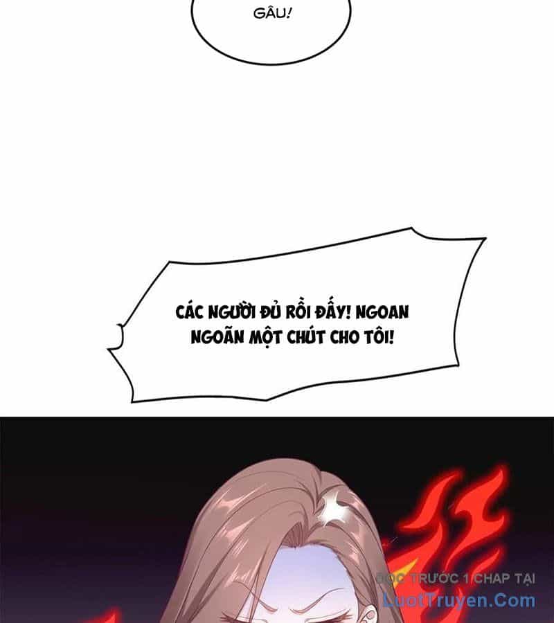 Cửa Hàng Sủng Vật Thần Kỳ - Chương 1 - ảnh 23