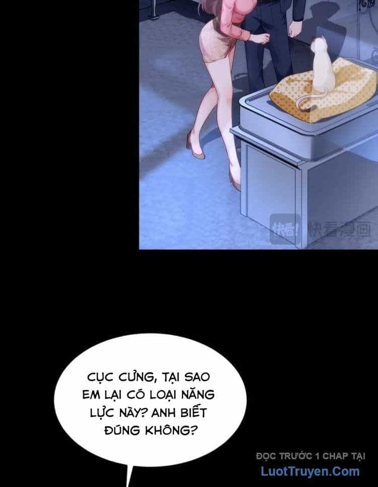 Cửa Hàng Sủng Vật Thần Kỳ - Chương 10 - ảnh 16