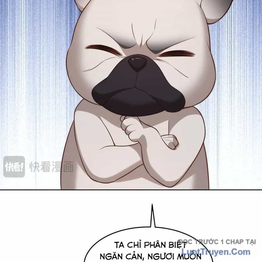 Cửa Hàng Sủng Vật Thần Kỳ - Chương 11 - ảnh 101