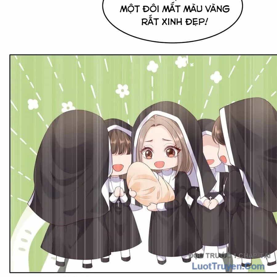Cửa Hàng Sủng Vật Thần Kỳ - Chương 15 - ảnh 34