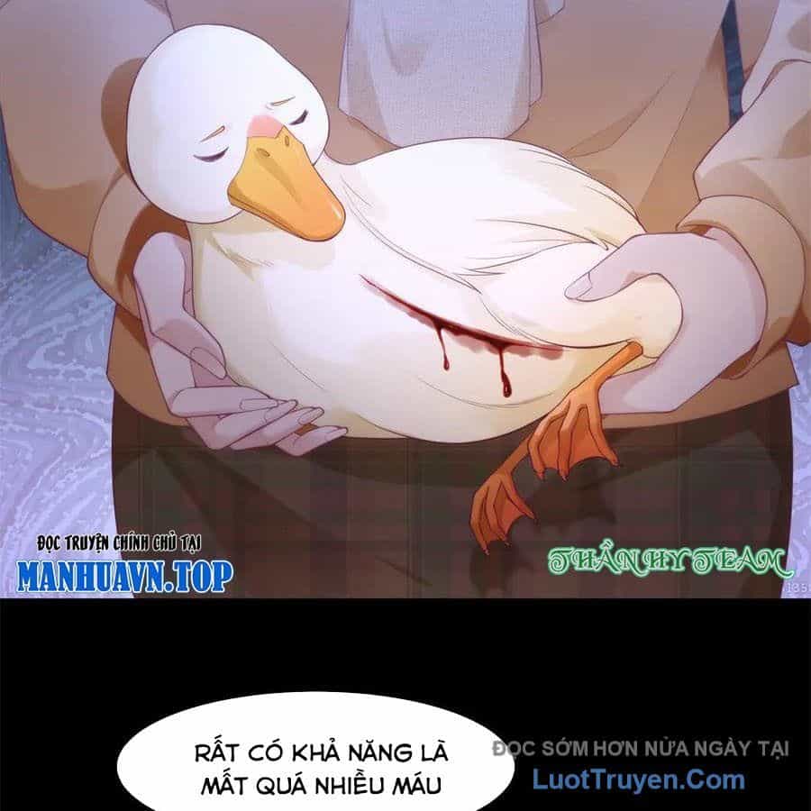 Cửa Hàng Sủng Vật Thần Kỳ - Chương 16 - ảnh 34