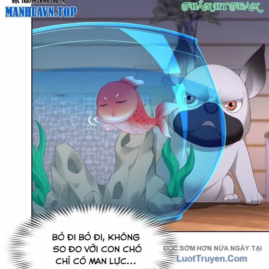 Cửa Hàng Sủng Vật Thần Kỳ - Chương 17 - ảnh 9
