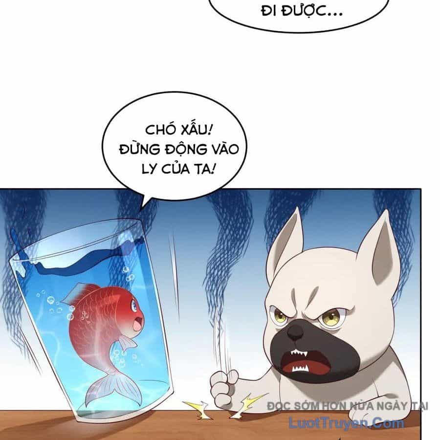 Cửa Hàng Sủng Vật Thần Kỳ - Chương 18 - ảnh 72