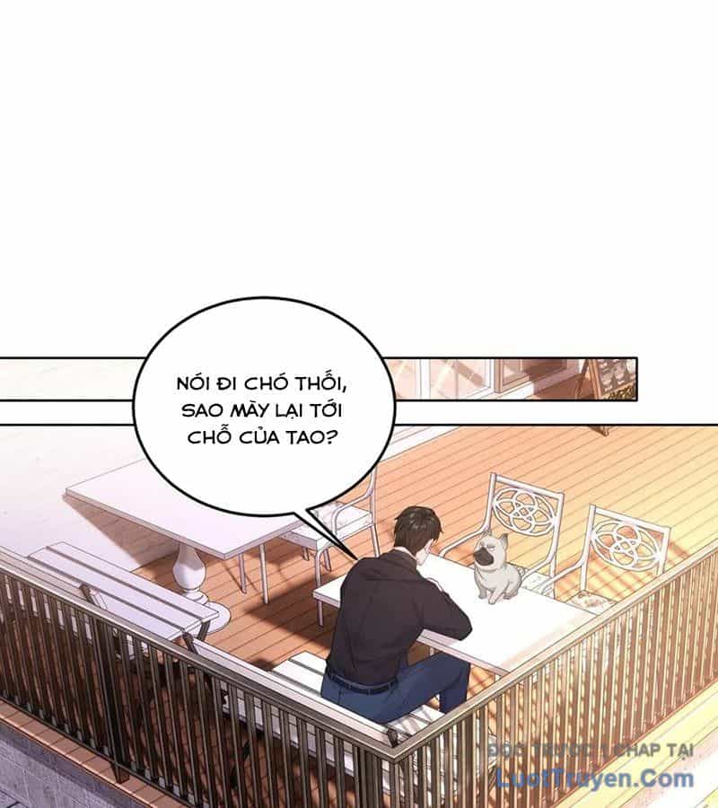 Cửa Hàng Sủng Vật Thần Kỳ - Chương 2 - ảnh 43