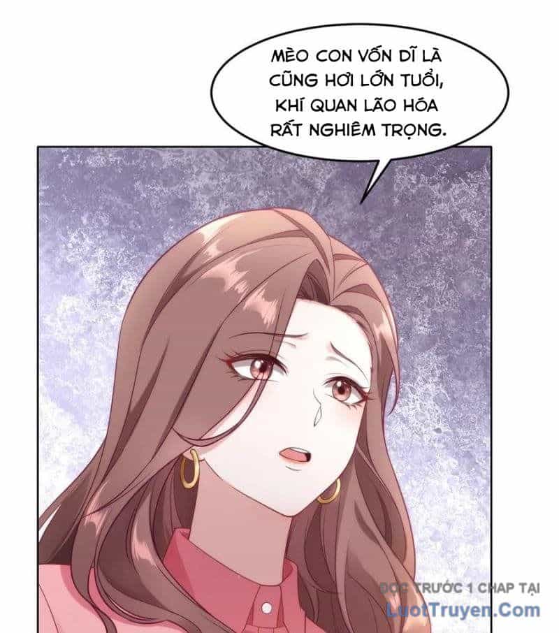 Cửa Hàng Sủng Vật Thần Kỳ - Chương 9 - ảnh 26