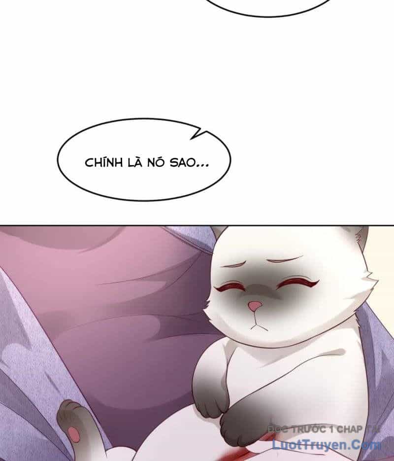 Cửa Hàng Sủng Vật Thần Kỳ - Chương 9 - ảnh 6