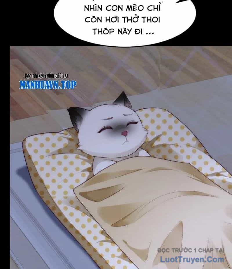 Cửa Hàng Sủng Vật Thần Kỳ - Chương 9 - ảnh 62