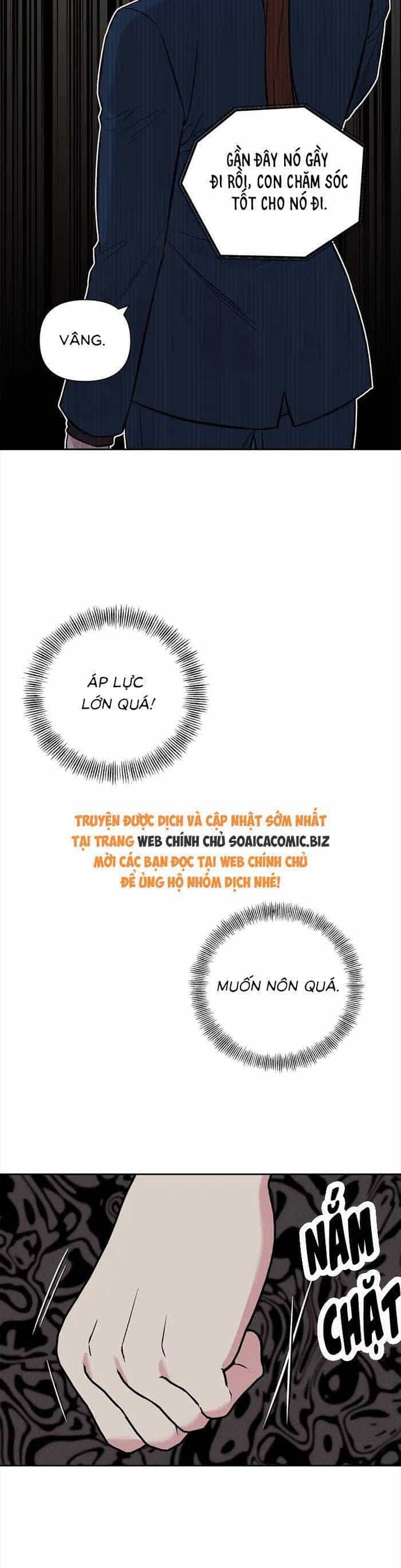 Cua Lại Vợ Yêu - Chương 11 - ảnh 9