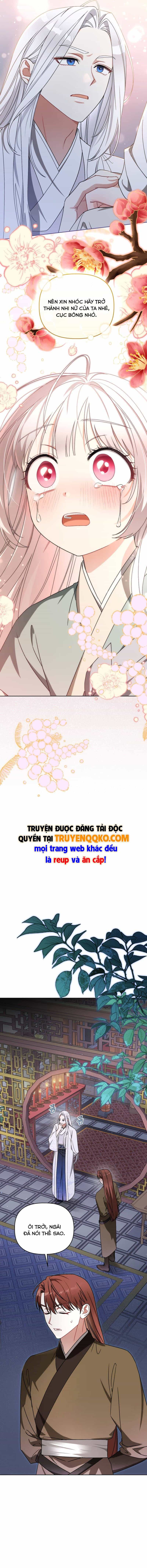 Cục Bông Nhỏ Đáng Yêu Của Tộc Bạch Hổ - Chương 24 - ảnh 9