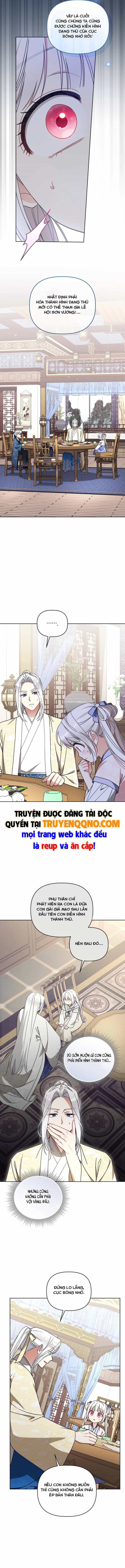 Cục Bông Nhỏ Đáng Yêu Của Tộc Bạch Hổ - Chương 26 - ảnh 13