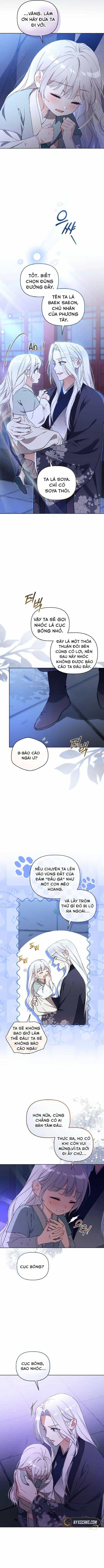 Cục Bông Nhỏ Đáng Yêu Của Tộc Bạch Hổ - Chương 5 - ảnh 11
