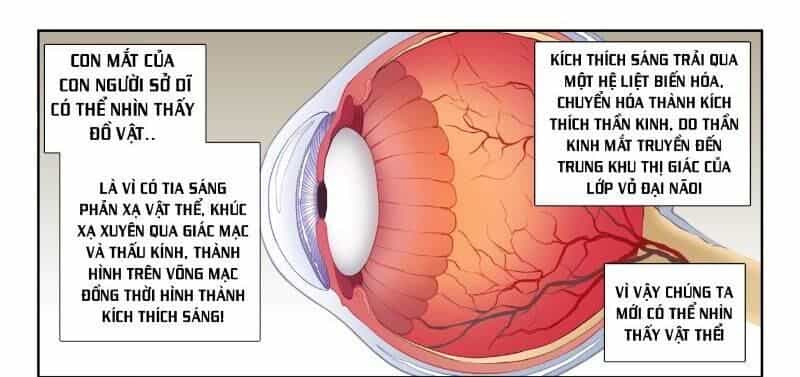 Cực Đạo Tông Sư - Chương 59 - ảnh 25