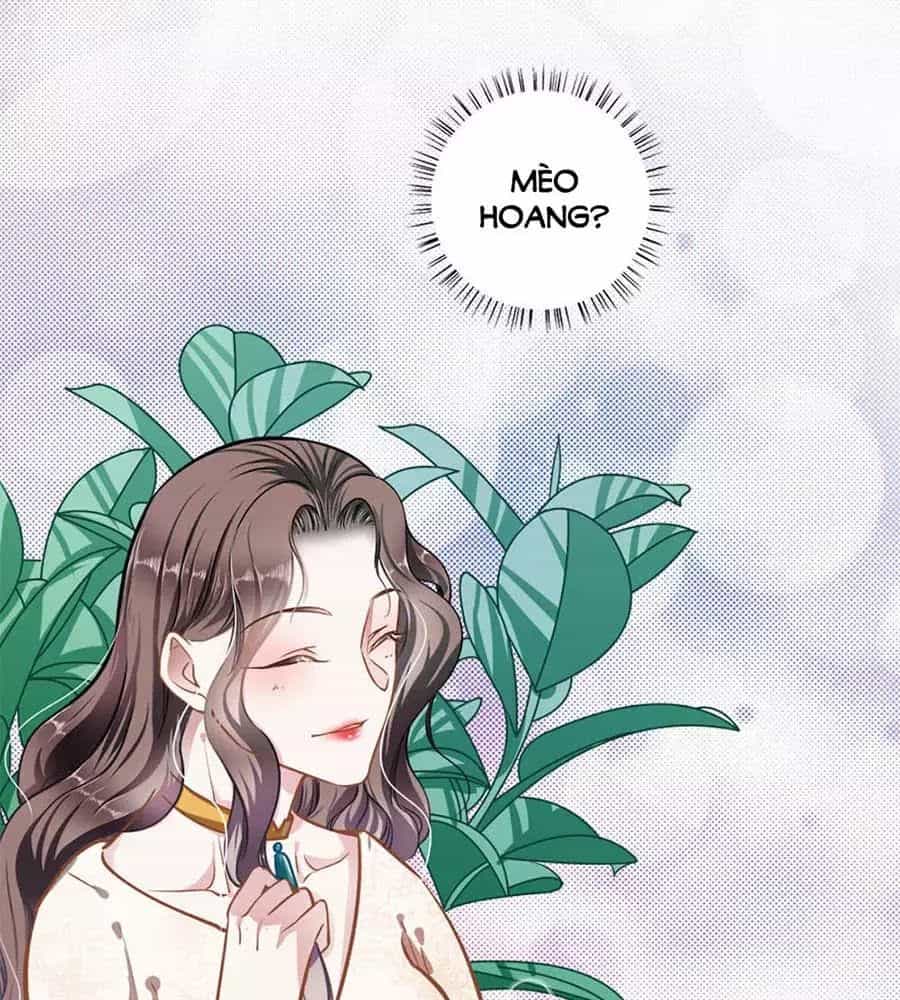 Cưng Chiều Ái Thê Hư Hỏng - Chương 40 - ảnh 49