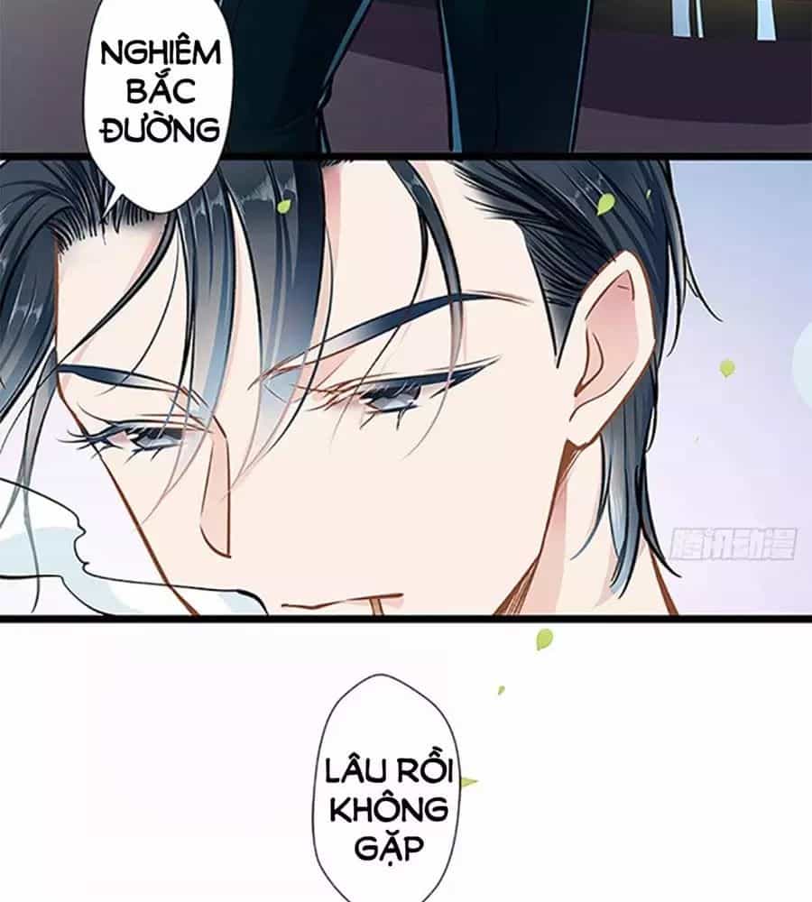 Cưng Chiều Ái Thê Hư Hỏng - Chương 41 - ảnh 16
