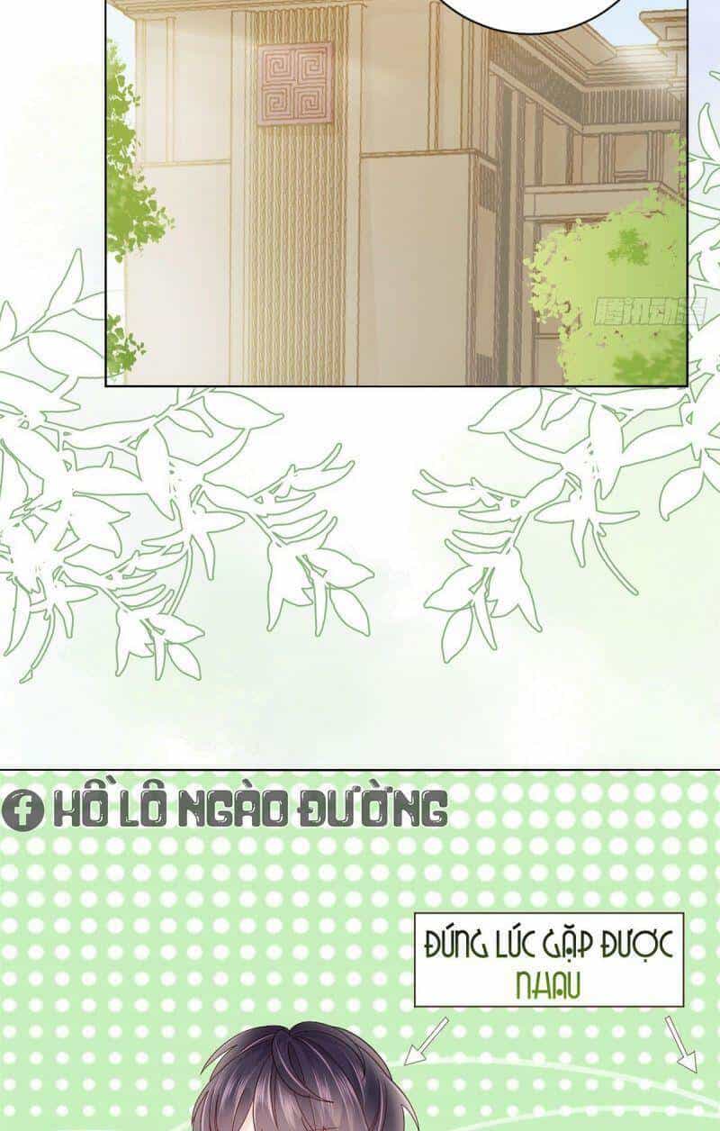 Cưng Chiều Đại Lão 3 Tuổi Rưỡi - Chương 19 - ảnh 4
