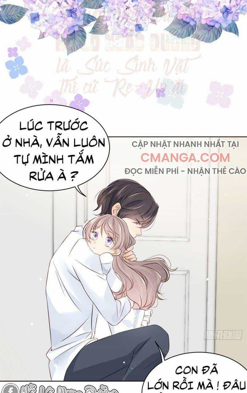 Cưng Chiều Đại Lão 3 Tuổi Rưỡi - Chương 3 - ảnh 21