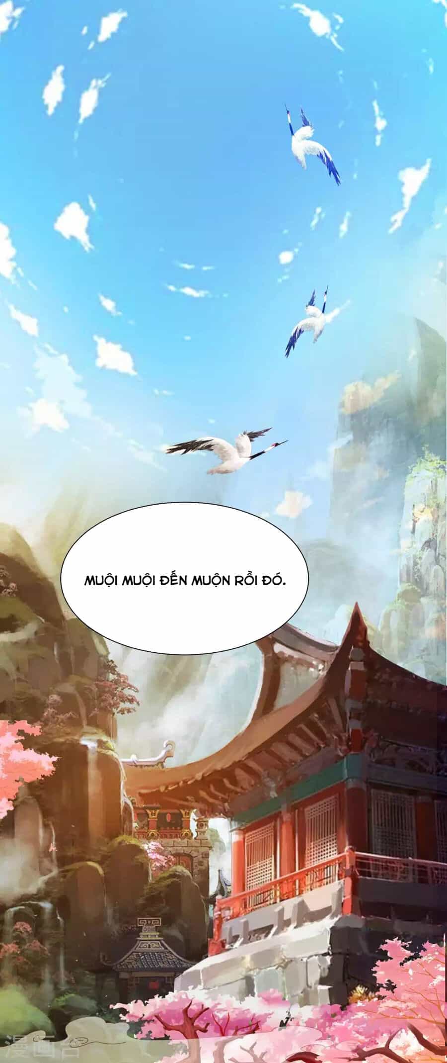 Cung Đình Đoàn Sủng Thăng Chức Ký - Chương 2 - ảnh 36