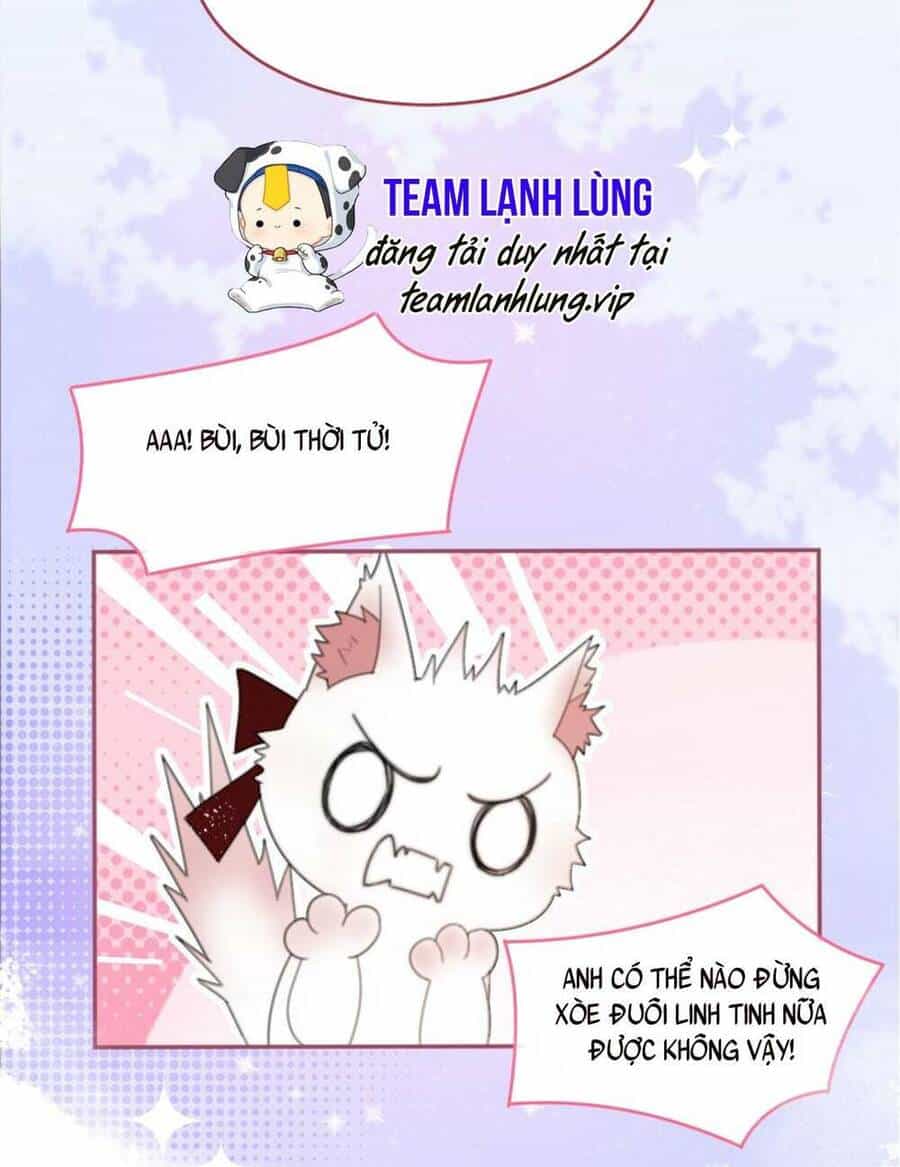 Cùng Đỉnh Luu Ảnh Đế Yêu Đương Phát Đường - Chương 62 - ảnh 14