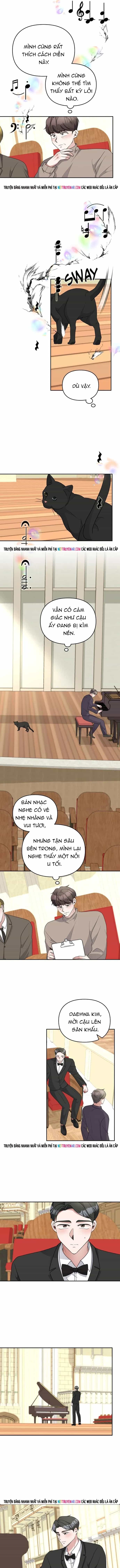 Cuộc Đời Của Thiên Tài Piano - Chương 51 - ảnh 6