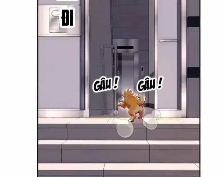 Cuộc Đời Mạt Thế Hoàn Mỹ Của Tôi - Chương 62 - ảnh 55