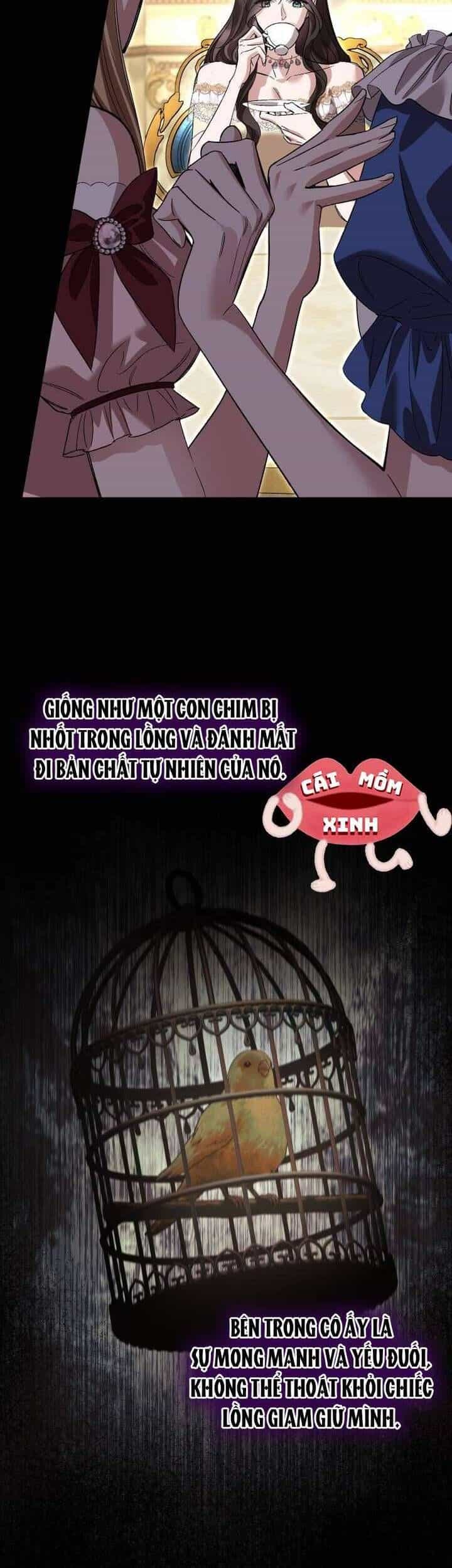 Cuộc Hôn Nhân Bị Bắt Cóc Xuyên Thời Gian Của Hoàng Hậu - Chương 33 - ảnh 14