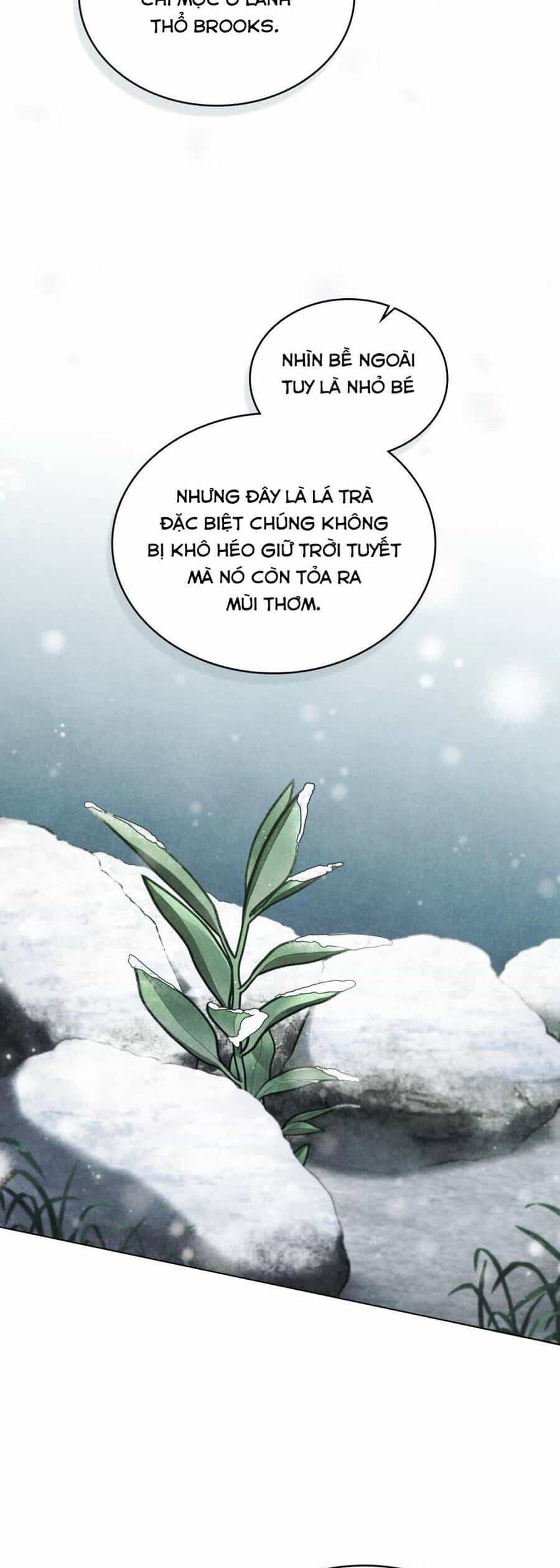 Cuộc Hôn Nhân Chính Trị Với Kẻ Thù Dịu Dàng - Chương 25 - ảnh 35